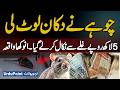 A Rat Robbed Shop in Lahore: Rat Steals 5 Lakh Rupees From Shopkeeper's Cash Box - A Unique Incident