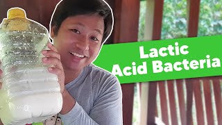 [PART 1] Full Procedure of Making Lactic Acid Bacteria (LABS)! | The Agrillenial