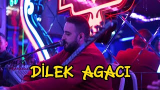 Dilek Agacı & Kara Duta Yaslandım - CEMAL GÜRSEL