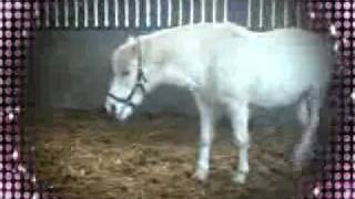 bonnie- jumping and messin about