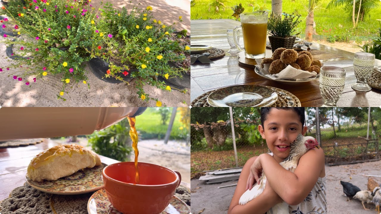 ✨Vida Simples e Feliz ♥️🌿Rotina com almoço caipira🥗🍲 Cochinha de 🥖no lanche da tarde 😋