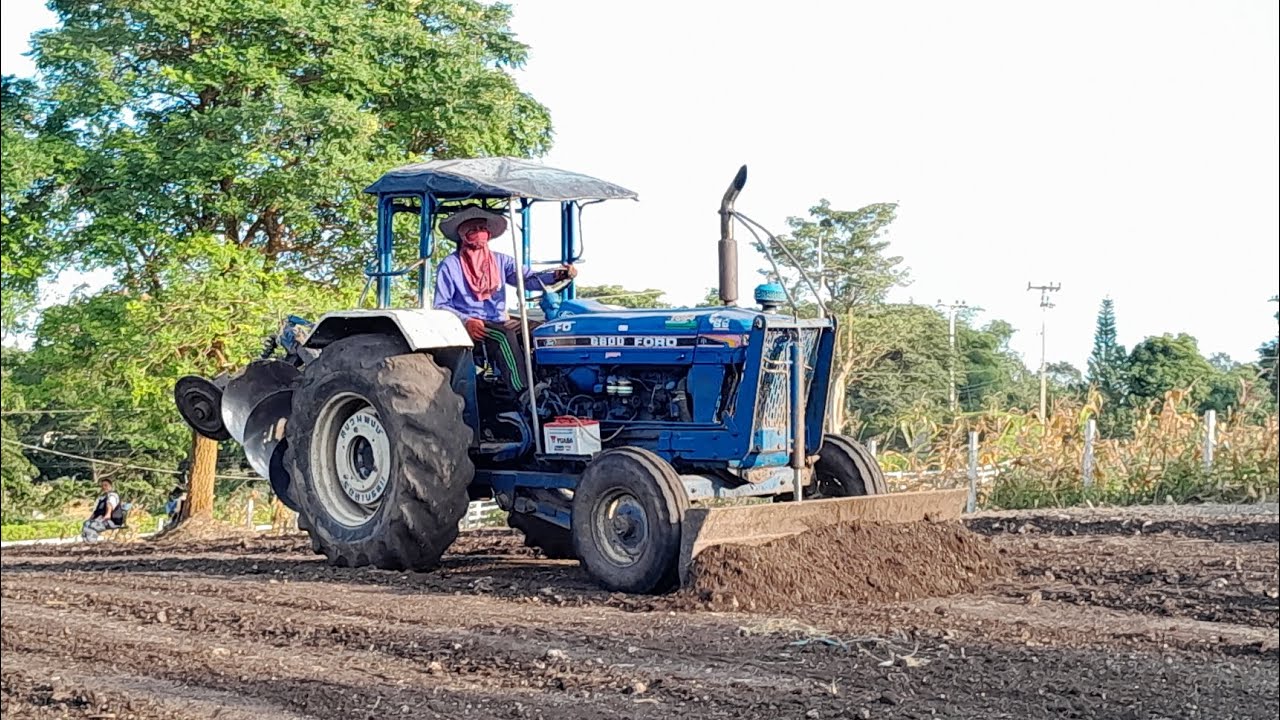 รถไถฟอร์ด6610มาดันรากดินออกเอาให้โล่งๆสะดวก ป้าเธอเป็นคนรับจ้างให้รถลุงมาดันป่าข้าวโพดออก