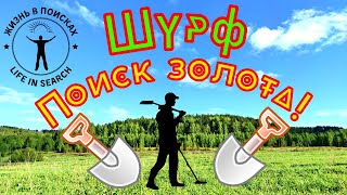 Коп монет и шурф домовой ямы 👉Поиск золота