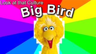 Look At That Culture Topic Big Bird