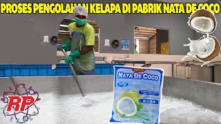 TERNYATA BEGINI PROSES PRODUKSI NATA DE COCO | PROSES PEMANFAATAN KELAPA DI PABRIK