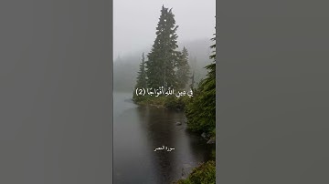 إِذَا جَاءَ نَصْرُ اللَّهِ وَالْفَتْحُ || سورة النصر || علي جابر