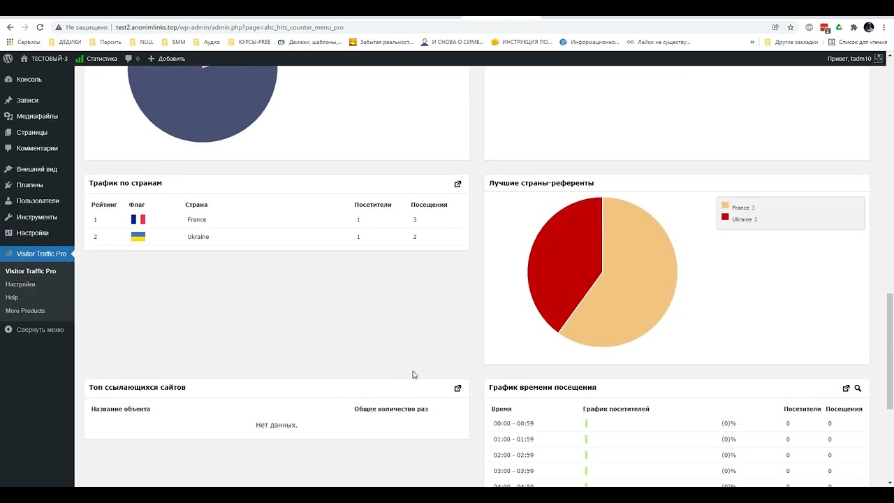 video Visitor Traffic Real Time Statistics PRO — Статистика посещаемости в реальном времени