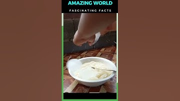 Nipa Palm Fruit Versatile and Vital for Coastal Ecosystems#factshorts #fruitknowledge #fruit