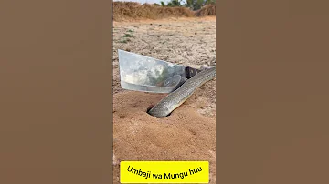 Umbaji Wa Mungu Huu 