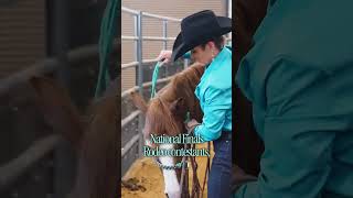 Big Guns in Cowtown | Letโs Talk Land Big Guns in Cowtown | Letโs Talk Land