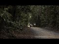 BMW Motorrad Australia | 2021 BMW GS Safari