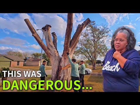 Her Home Was Slowly CRUMBLING… She Couldn’t Stop It