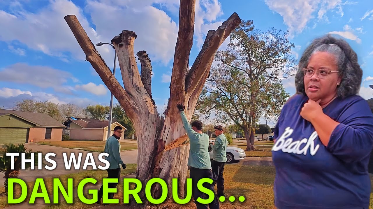 Her Home Was Slowly CRUMBLING… She Couldn’t Stop It