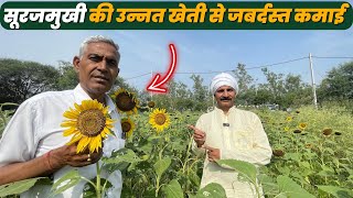 सूरजमुखी की खेती करके कमाएं अच्छी आमदानी | Surajmukhi Ki Kheti | Sunflower Farming