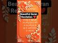 Surah Ash-Sharh - Egzon Ibrahimi beautiful Quran Recitation #egzonibrahimi