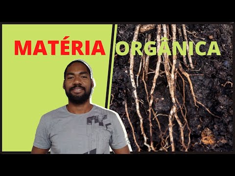 Vídeo: O que é considerado matéria orgânica?