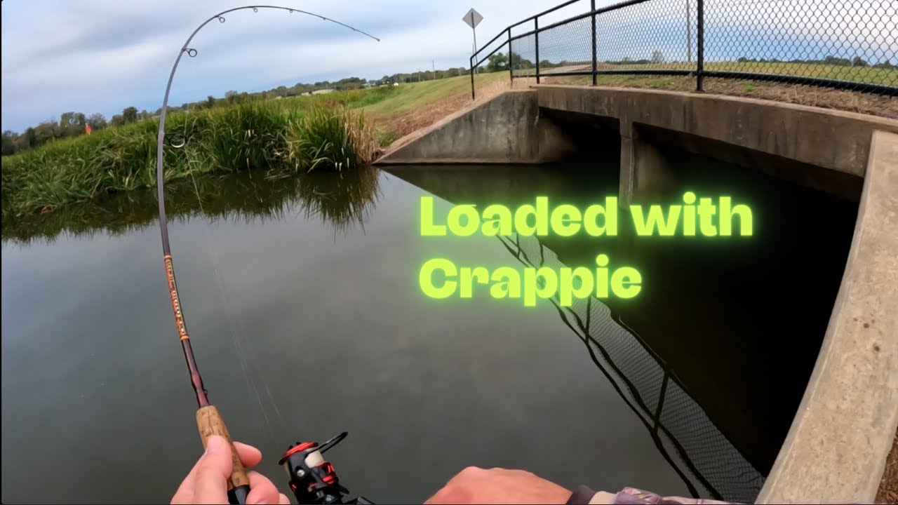 Я нашел кучу дерьма под этим оживленным мостом.