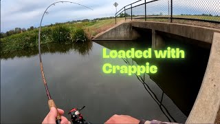 I found loads of crappie under this busy highway bridge