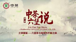 Liu Pao Tea Show Season 2--The beginning of tin packages of Liu pao Tea /中茶六堡说第二季---工体罐篇