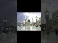 shortvideo#viralvideo#foryou#subscribe#ytshorts#reels#trendingshorts#motivation#islamic#naat#madina
