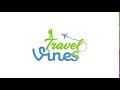 Travel viness logo animation  travel viness  2019  travel vlog channel