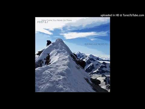 Feist + Kevlar - How Come You Never Go There