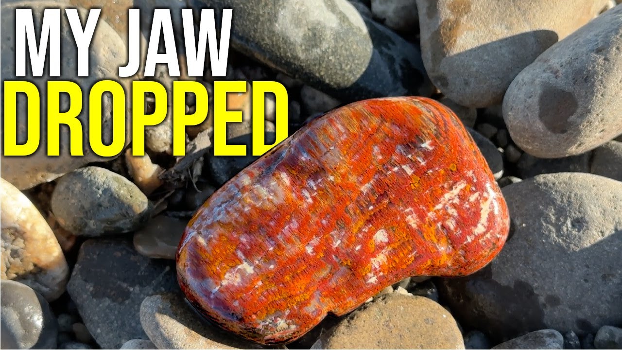 Поиск и огранка ИДЕАЛЬНЫХ АГАТОВ И ДРАГОЦЕННЫХ КАМНЕЙ на реке Йеллоустоун!