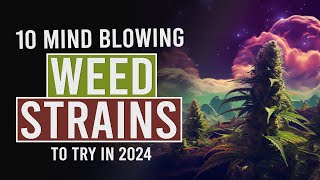 10 MUST TRY Cannabis Strains for 2024! screenshot 4