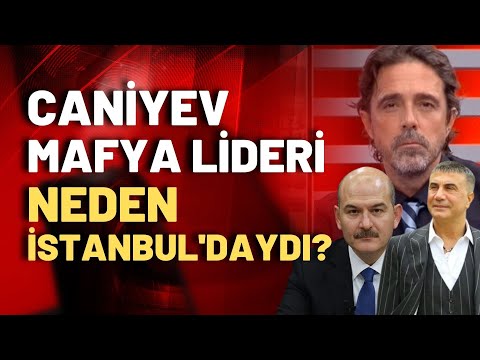 Caniyev mafya lideri neden istanbul'daydı? Timur Soykan: Tüm Dünyanın mafyası Türkiye'de yapılanmış!