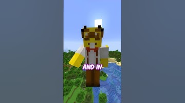 Why Bedrock is Harder than Java