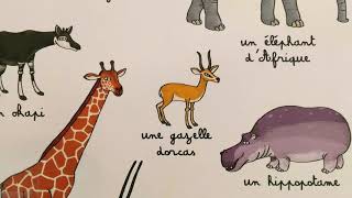 Cherche et trouve géant parmi les animaux - Thierry Laval - Yann Couvin - Booktube