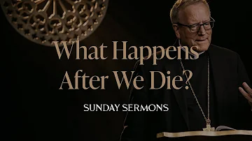 What Happens After We Die? - Bishop Barron's Sunday Sermon