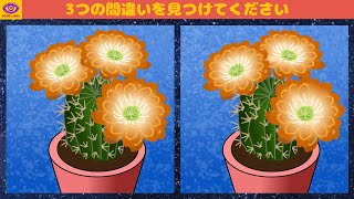 【間違い探し】脳トレ パズル ゲーム 9　(第一問には4つの間違いがありました。答えは説明欄の下にあります❢oLO❢） screenshot 5