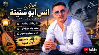 انس ابو سنينة    انا زعلتك بحاجه    متغير ياما عن زمان    يحتاجو حضتي يضمهم    واغاني حصريه - اسمعها