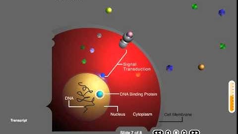 Drug target animation