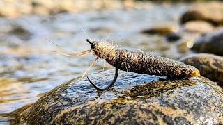 Cased Caddis Fly Pattern. How to tie. Fly tying tutorial. 