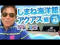 リサ・チャン！-【しまね海洋館アクアス編】動画｜ホームメイト･リサーチ