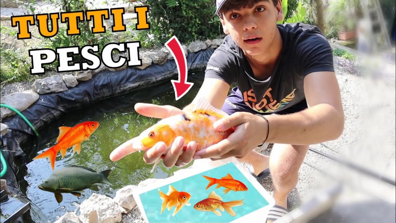 HO PESCATO tutti i PESCI dal mio LAGHETTO !!!
