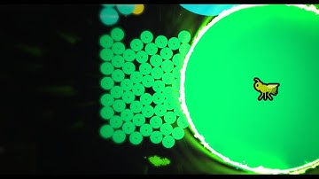 The Gota.io Fade.......