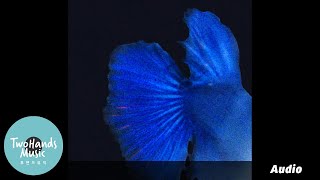 josee! — 데이먼스이어