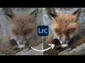 How PROFESSIONALS make it POP | Lightroom Tutorial