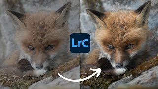 How PROFESSIONALS make it POP | Lightroom Tutorial screenshot 4