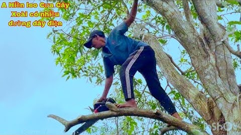 A Hiền leo Cưa Cây Xoài có nhiều dây điện sát đường xe chạy