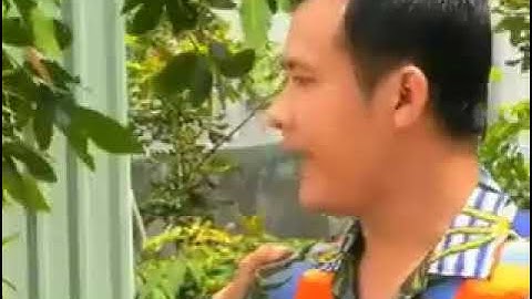 TIỂU PHẨM HÀI - THÁNH THƠ LỤC BÁT