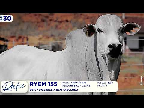 LOTE 30   RYEM 155