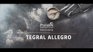 Tegral Allegro - Budín de vainilla y budín de Chocolate