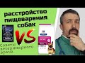 расстройство пищеварения собак