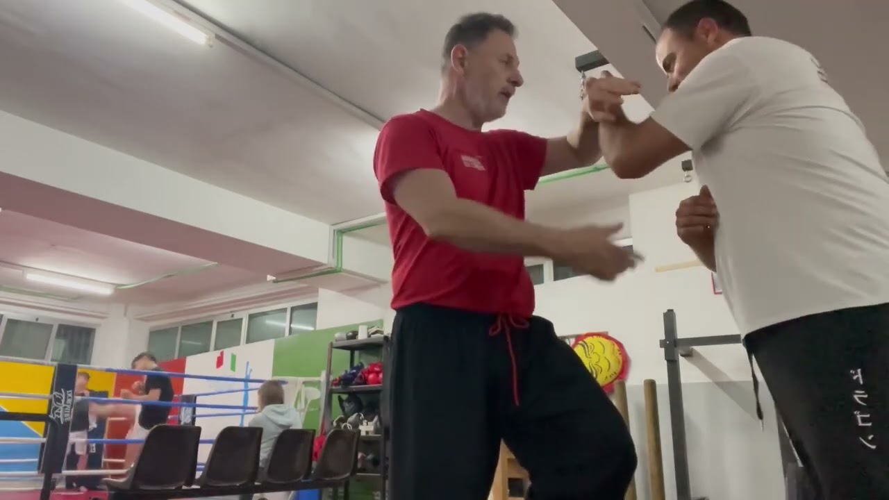 Absorbing and transferring energy in Wing Chun - Assorbire e trasferire energia nel Wing Chun .