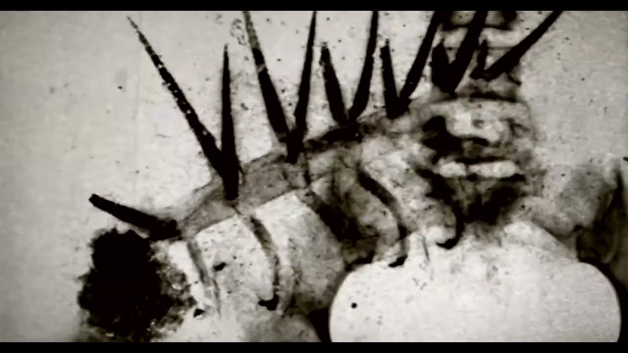 ̸̻̞͉̼̦̬̥̀̂̑̐̐̐I̵̲̲̱̼̰̹͒̊́̓͊͝t̶̩͊͒s̴̻̱̦̠͌̾̅͂̽ͅ ̸̧̰̈́̆̅̓n̸̢͍̖̮͈̞̈́̓̈̇͝a̷̳̻̖͇̪͆́ͅm̶̨͉̋e̷͇̽̌̊̀͠?̸͙͙͐̈́̃͐