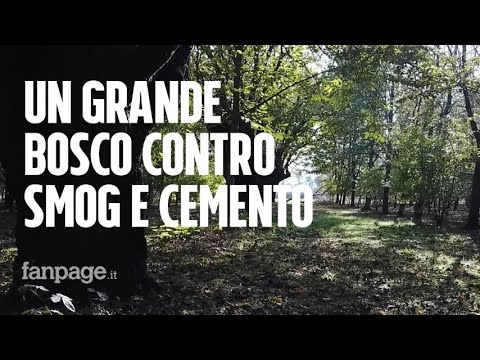 La sfida di Giancarlo: a 86 anni compra un terreno edificabile e ci pianta 11mila alberi